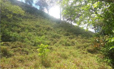 Se Vende Finca en Gualaca, 4.3 has