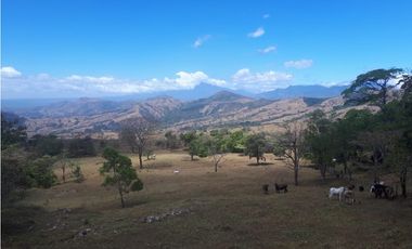 Se Vende Finca en Gualaca, 4.3 has