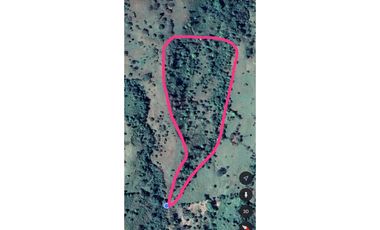Se Vende Finca en Gualaca, 4.3 has