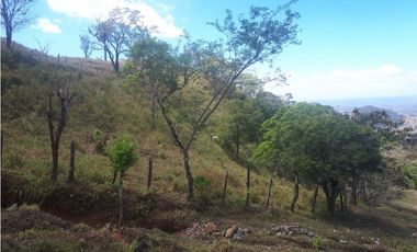 Se Vende Finca en Gualaca, 4.3 has