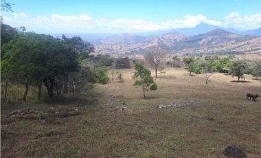 Se Vende Finca en Gualaca, 4.3 has