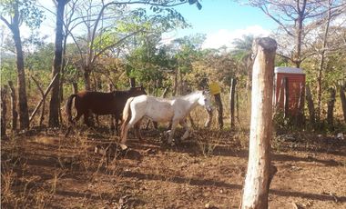Se Vende Finca en Gualaca, 4.3 has