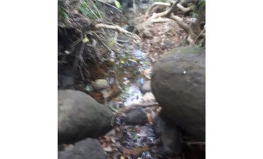 Se Vende Finca en Gualaca, 4.3 has
