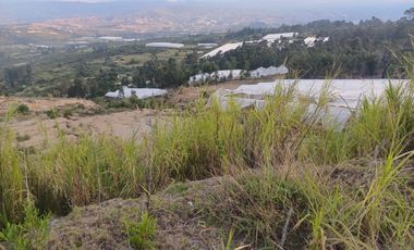 comercial (casa para comercio) en arriendo en el limonar. Cod A9062678