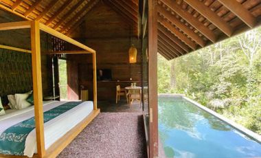 Villa Furnished Fasilitas Resort Bintang 5 di Ubud, Gianyar