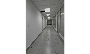 Alquilo Bodega o Galera  en Curundú