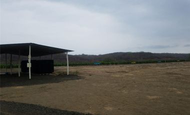 Se vende terreno en Briceño- San Vicente