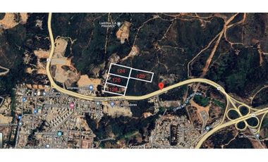 CURAUMA / CAMINO LA POLVORA / FUNDO LAS MERCEDES / 10.000 M2