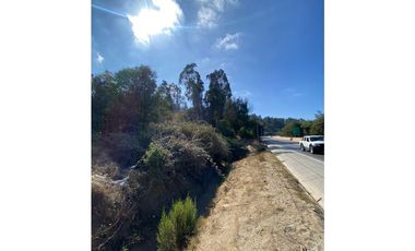 CURAUMA / CAMINO LA POLVORA / FUNDO LAS MERCEDES / 10.000 M2