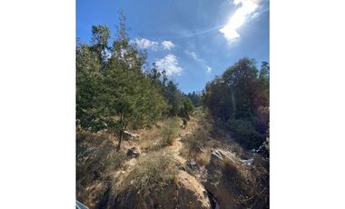 CURAUMA / CAMINO LA POLVORA / FUNDO LAS MERCEDES / 10.000 M2