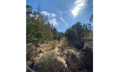 CURAUMA / CAMINO LA POLVORA / FUNDO LAS MERCEDES / 10.000 M2