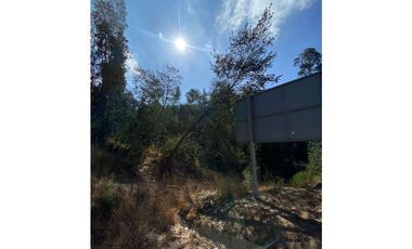 CURAUMA / CAMINO LA POLVORA / FUNDO LAS MERCEDES / 10.000 M2