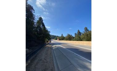 CURAUMA / CAMINO LA POLVORA / FUNDO LAS MERCEDES / 10.000 M2