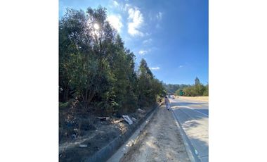 CURAUMA / CAMINO LA POLVORA / FUNDO LAS MERCEDES / 10.000 M2