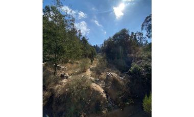 CURAUMA / CAMINO LA POLVORA / FUNDO LAS MERCEDES / 10.000 M2