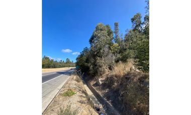 CURAUMA / CAMINO LA POLVORA / FUNDO LAS MERCEDES / 10.000 M2