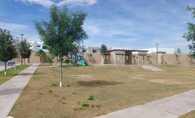 CASA EN PREVENTA EN SECTOR VIÑEDOS TORREÓN, COAHUILA