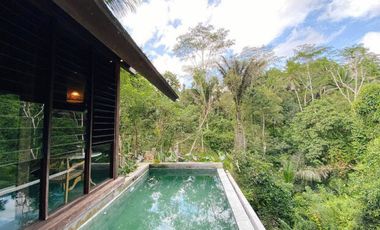 VILLA MEWAH VIEW JUNGLE DI UBUD, FULLY FURNISHED UNDER 3M