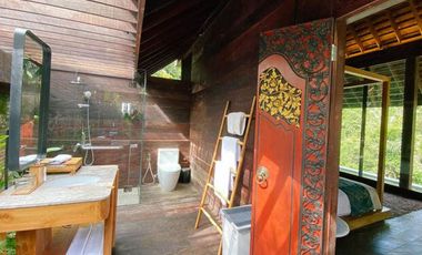 VILLA MEWAH VIEW JUNGLE DI UBUD, FULLY FURNISHED UNDER 3M