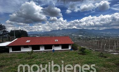 finca en arriendo en vereda los alticos san antonio de pereir. Cod A65367