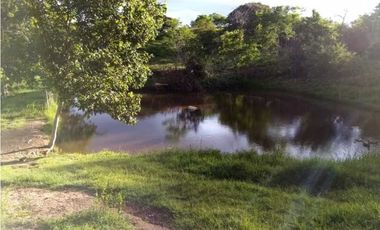 VENTA DE PARCELA EN CIÉNAGA DE ORO, MONTERIA