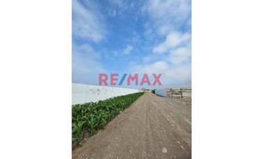 Venta De 7 Lotes De Terreno