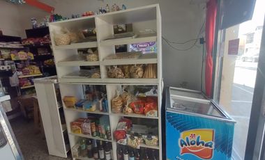 VENTA FONDO DE COMERCIO-DESPENSA-BLAS PARERA CASI ESQ. STOS VEGA-VILLA BOSCH