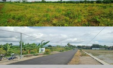 Beli Tanah Dekat Exit Toll Prambanan Bisa Buat Investasi