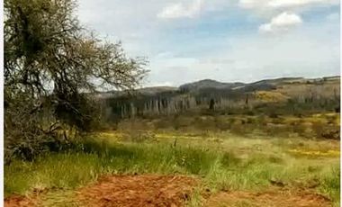 Parcela en arriendo en San Javier