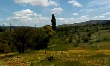 Parcela en arriendo en San Javier