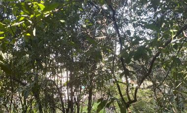 TERRENO EN VENTA EN CONTADERO, CUAJIMALPA