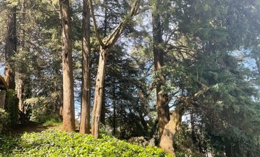 TERRENO EN VENTA EN CONTADERO, CUAJIMALPA