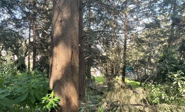 TERRENO EN VENTA EN CONTADERO, CUAJIMALPA