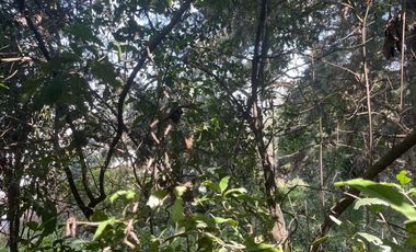 TERRENO EN VENTA EN CONTADERO, CUAJIMALPA