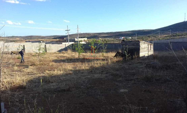 Granja Venta Parral 3,000,000 Cargan R2