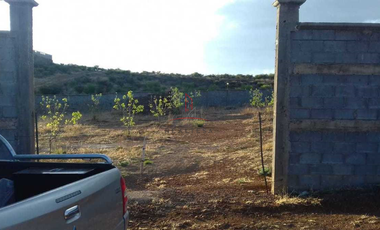 Granja Venta Parral 3,000,000 Cargan R2