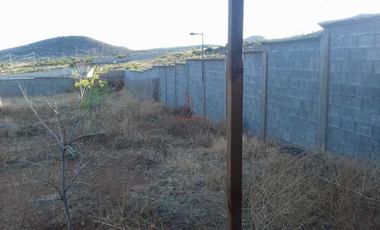 Granja Venta Parral 3,000,000 Cargan R2