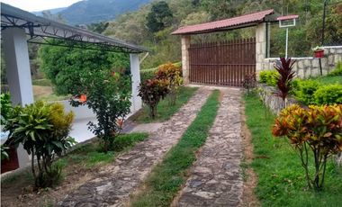 SE VENDE LINDA FINCA EN PANDI
