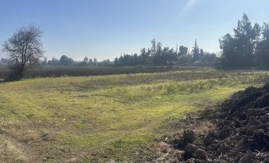 Regios Terrenos Lo Arcaya,Chicureo