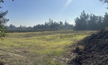 Regios Terrenos Lo Arcaya,Chicureo