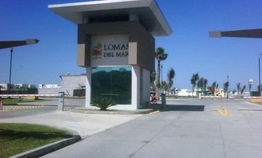 Terreno comercial a orilla de carretera a la renta | arlette flores