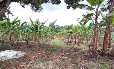 finca en venta en sector la  