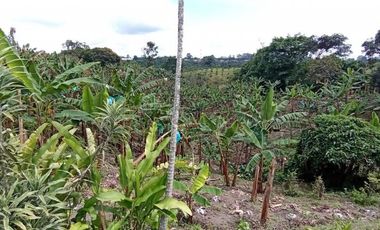 finca en venta en sector la  