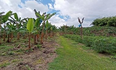 finca en venta en sector la  