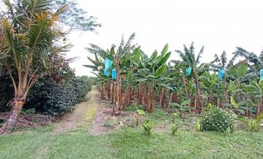 finca en venta en sector la  