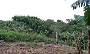 finca en venta en sector la  