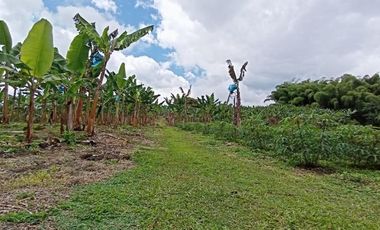 finca en venta en sector la  