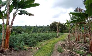 finca en venta en sector la  