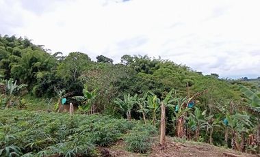 finca en venta en sector la  