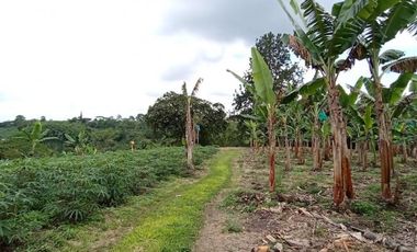 finca en venta en sector la  